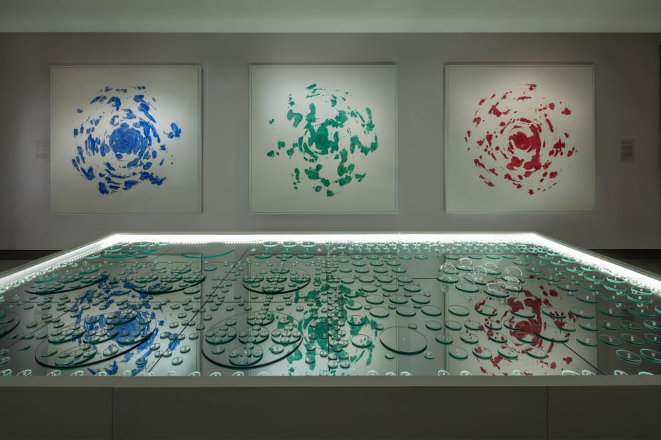 Photo by Dave De Armas.