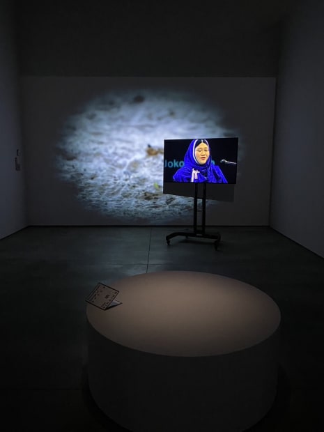 《聲線計畫:史貝克斯的歌-「唱」》展場照，李宇雙攝影 Sound Route: Songs of SPECX-"The Singing" installation view, photo by Judy Lee.