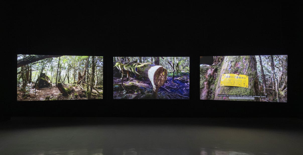 吳其育，《封閉世界的設定集（三頻道版）》，2020-2021，三頻道錄像 ，20分56秒，藝術家提供。泰墨創藝影像有限公司攝影，圖片由國立臺灣美術館提供。 Wu Chi-Yu,Atlas of the Closed Worlds, 2020-2021, Triple-channel video, 20'56'', courtesy of the artist. Time Motion Visual Design, image courtesy of National Taiwan Museum of Fine Arts.
