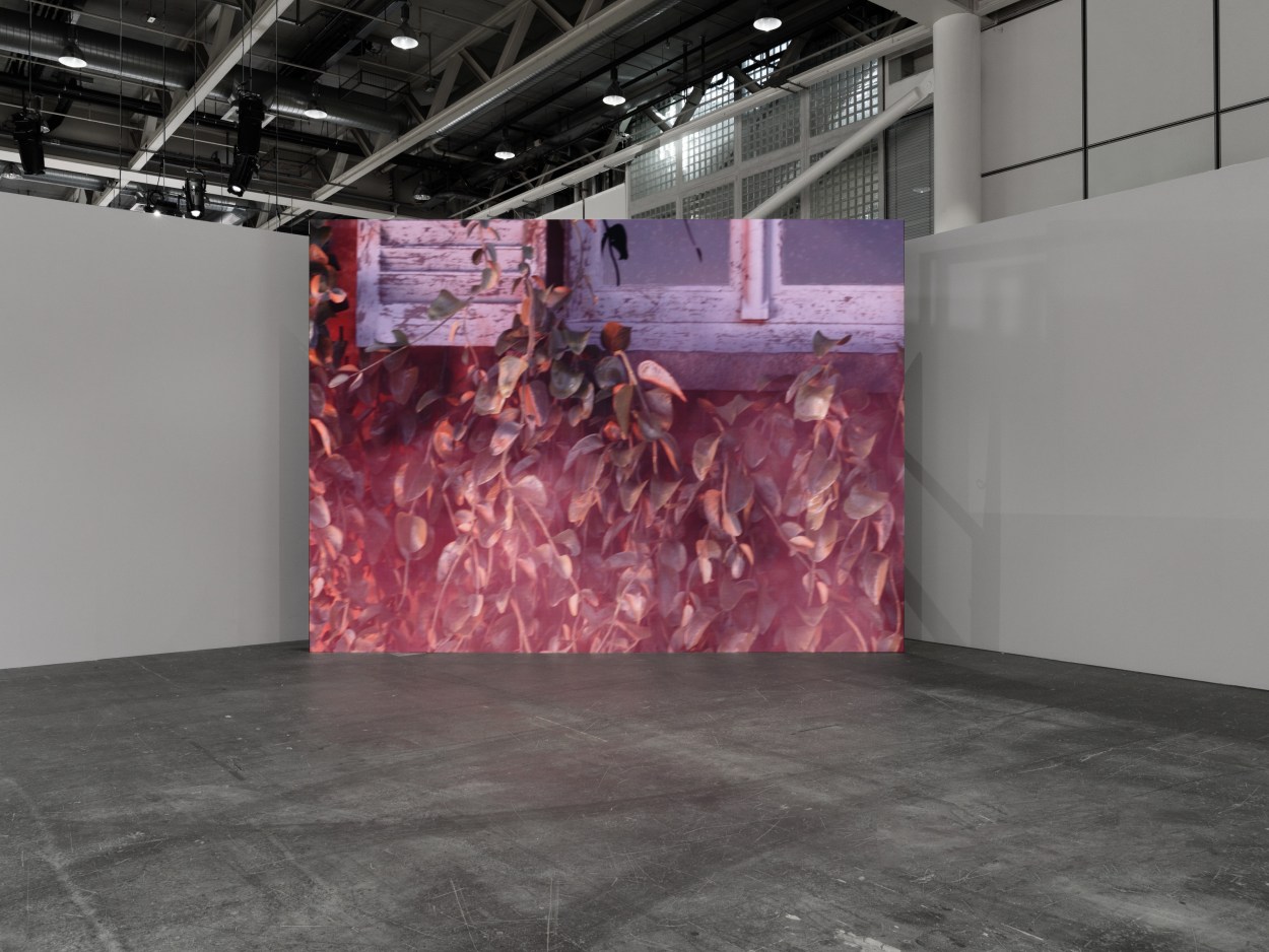Image: Art Basel Unlimited 2024