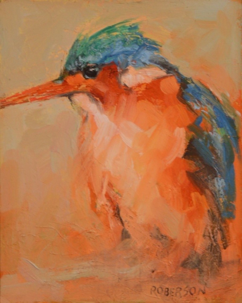 Young Malachite Kingfisher