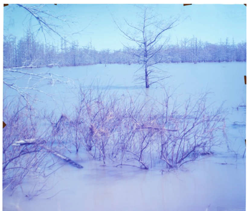 John Chiara, County Line Road at Annis Brake V2, 2016