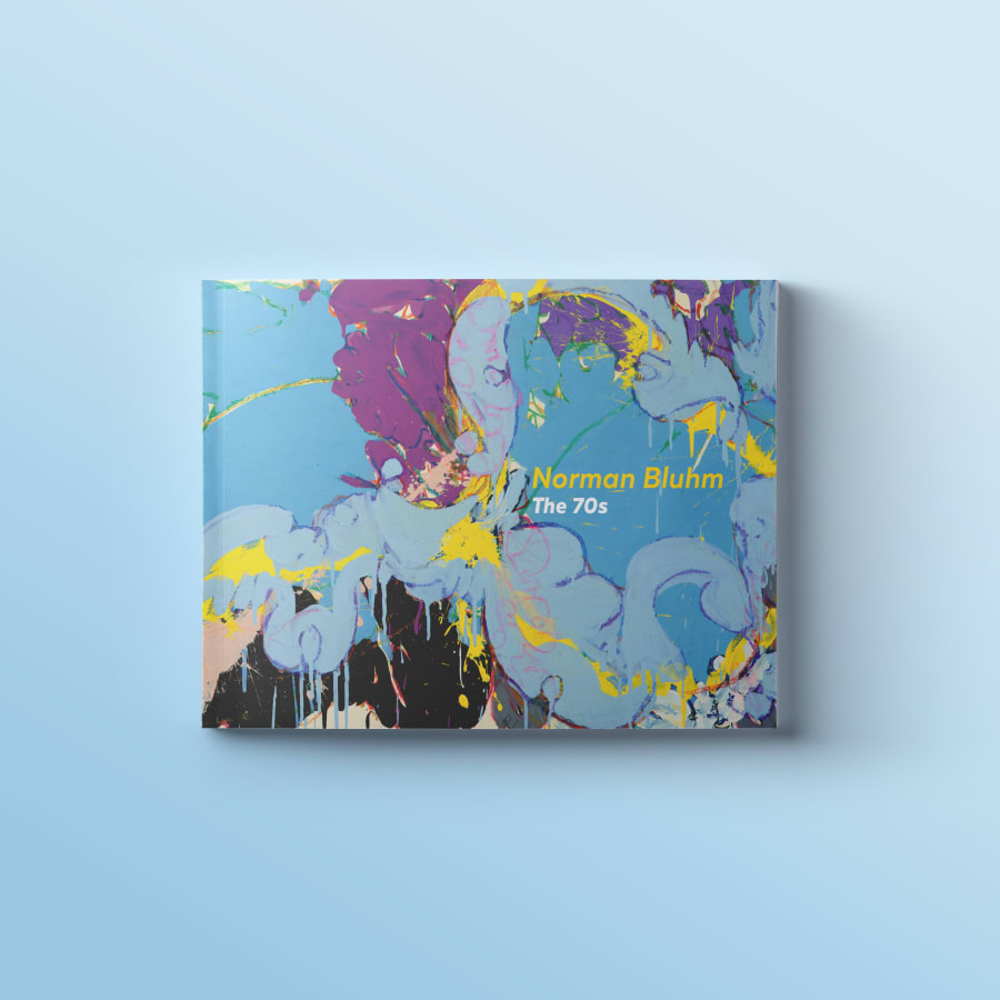 Photograph of the publication titled: Norman Bluhm