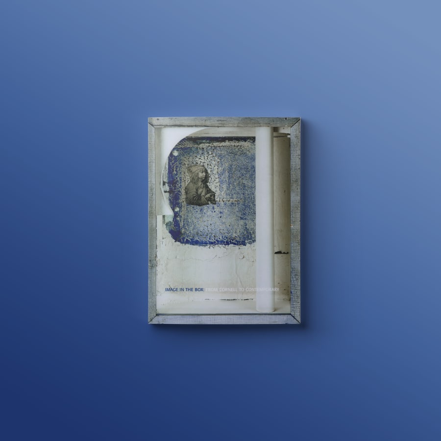 Photograph of the publication titled: Image in a Box