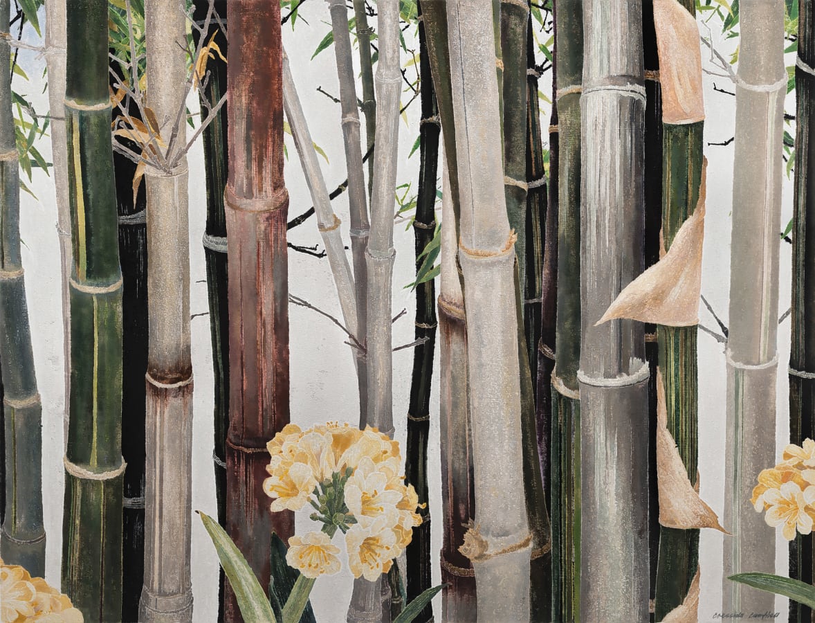 Artwork: Cressida Campbell, Bamboo with Cliveas, 2018