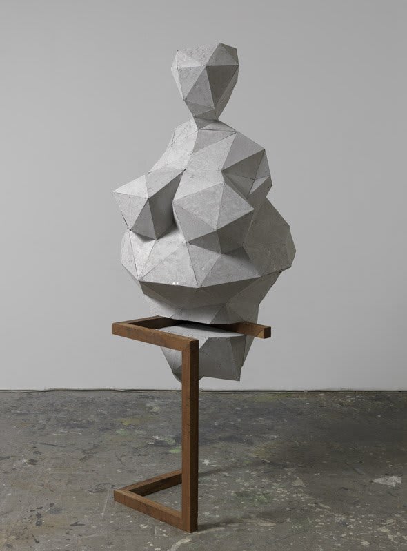 Artwork: Toby Ziegler, Metaplasmus, 2011