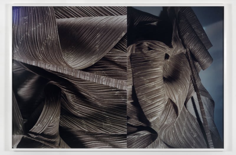 Artwork: Josephine Pryde, Pre-Therapeutic, 2010