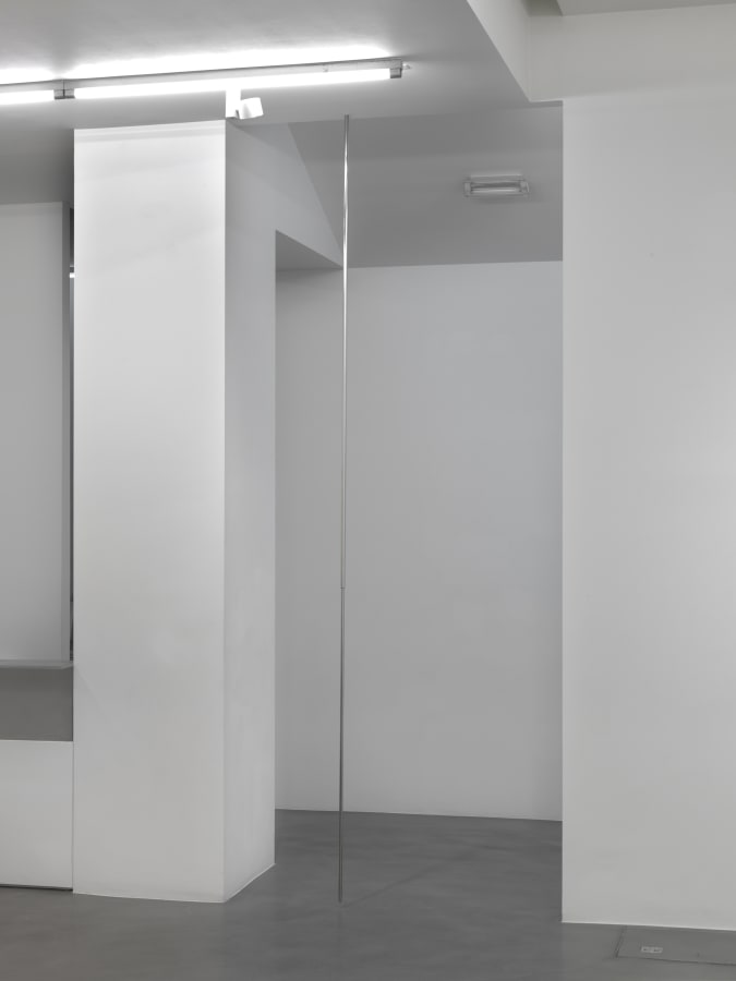 Artwork: Luciano Fabro, Asta (Pole), 1965-2001