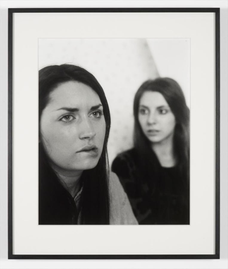 Artwork: Josephine Pryde, Conception, V, 2011