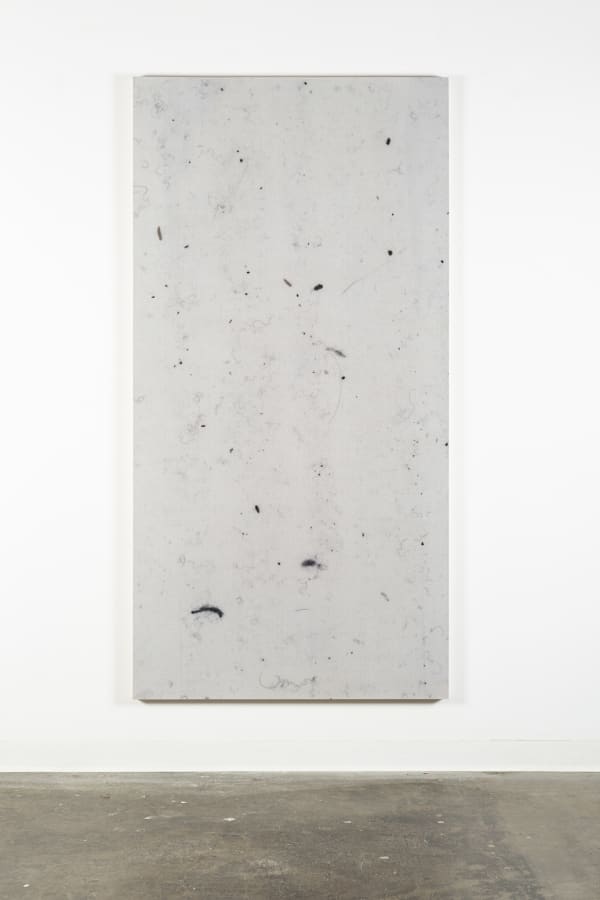Artwork: Hugh Scott-Douglas, Untitled, 2014