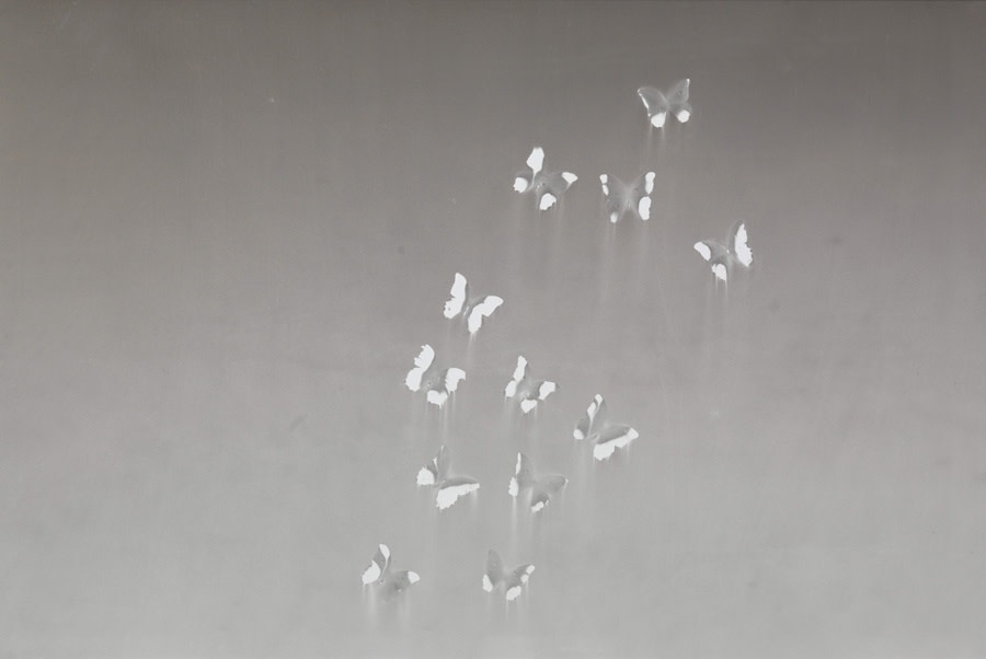 Artwork: Claudio Parmiggiani, Senza Titolo, 2015