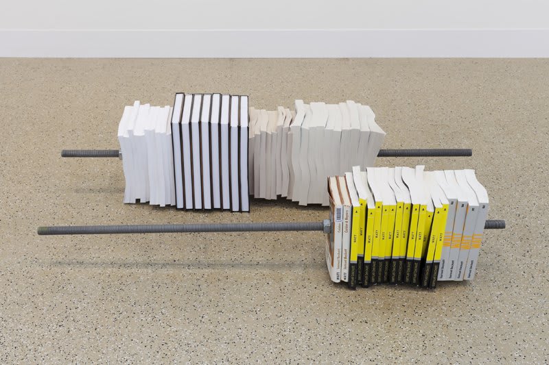 Artwork: Matias Faldbakken, Rod of Hunger/ Rod of Watt, 2012