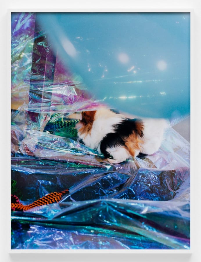 Artwork: Josephine Pryde, Scale XXXIII, 2012