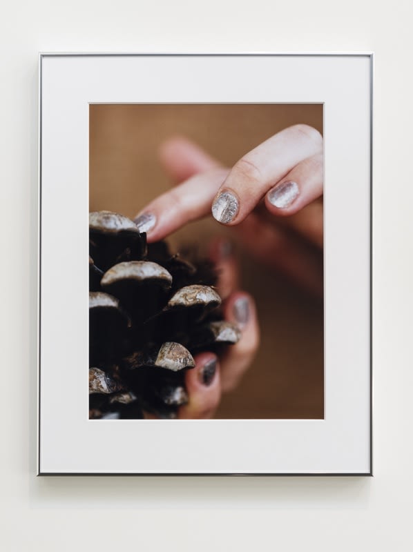 Artwork: Josephine Pryde, A Cone, 2016