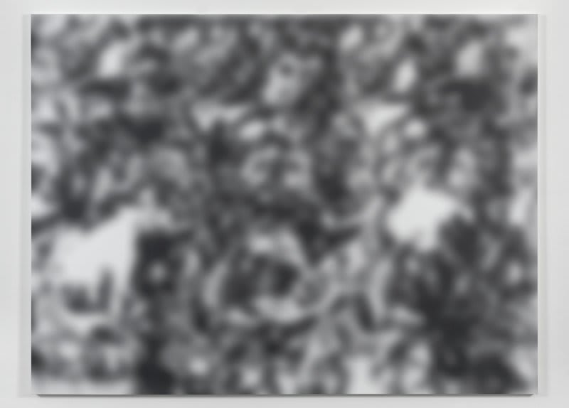 Artwork: Jeff Elrod, Forest for Trees, 2013