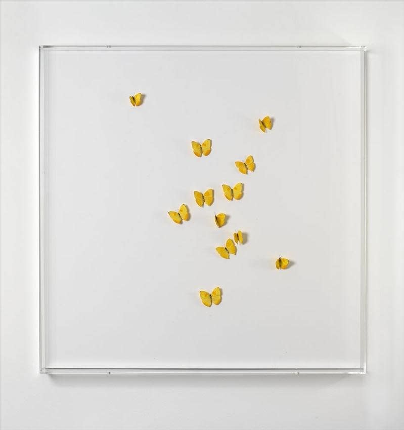 Artwork: Claudio Parmiggiani, Senza Titolo, 2000