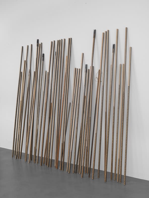 Artwork: Valerie Snobeck, Local / Non-Local 48, 2014