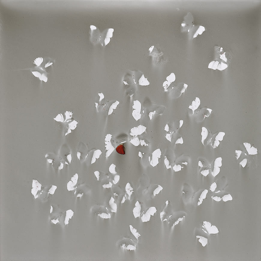 Artwork: Claudio Parmiggiani, Senza Titolo, 2018