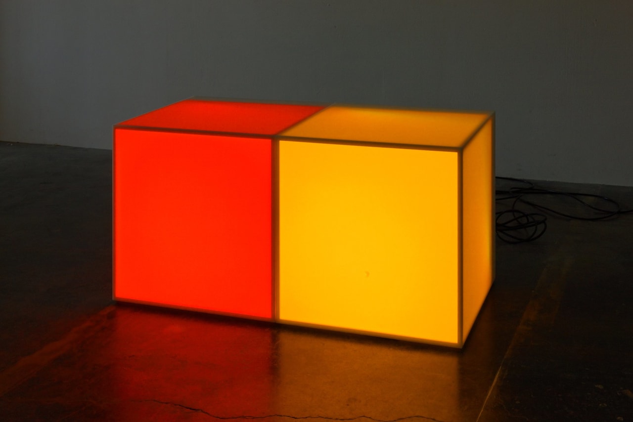 Artwork: Angela Bulloch, Double Ice, 2013
