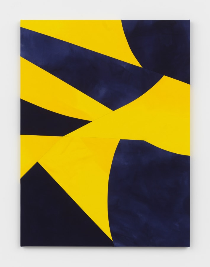 Artwork: Sarah Crowner, Tiger Parts, 2019