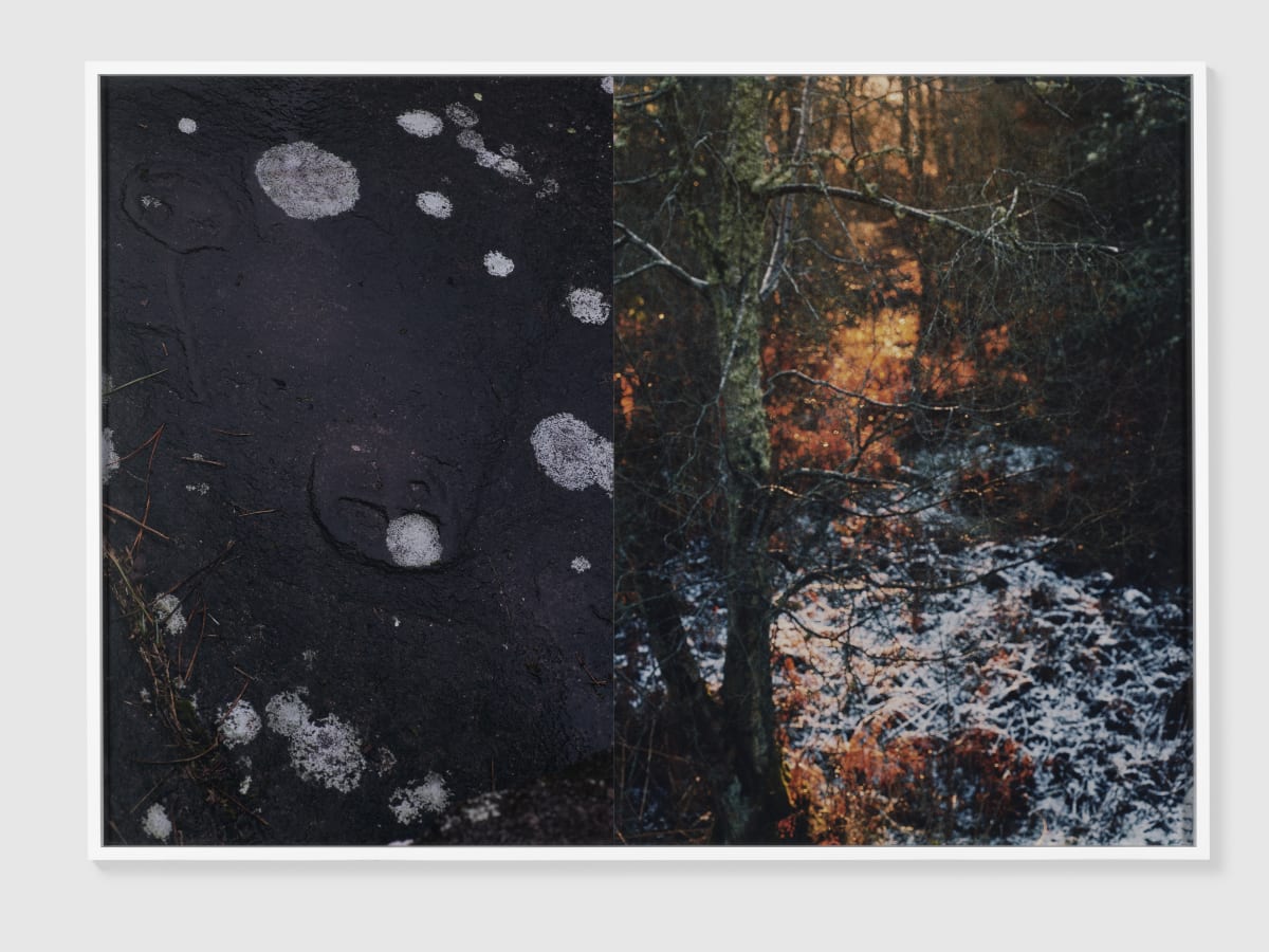 Artwork: Josephine Pryde, Cup and Ring 1, 2018