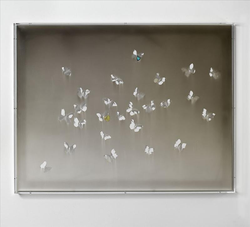 Artwork: Claudio Parmiggiani, Untitled, 1998