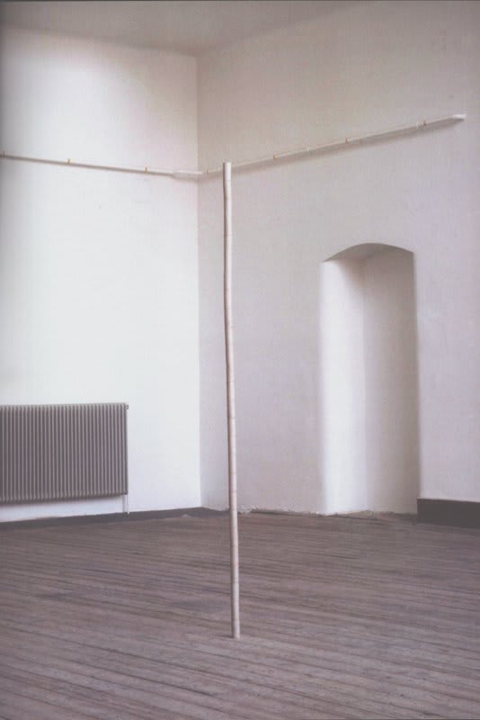 Artwork: Heimo Zobernig, Untitled, 1993