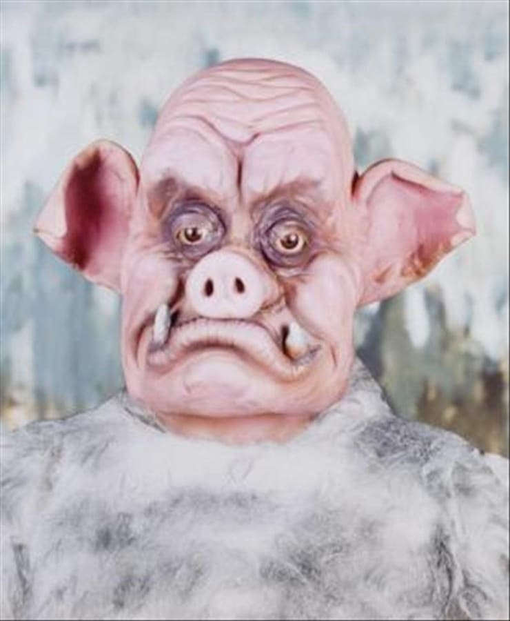 Artwork: Marnie Weber, Warthog Portrait, 2008