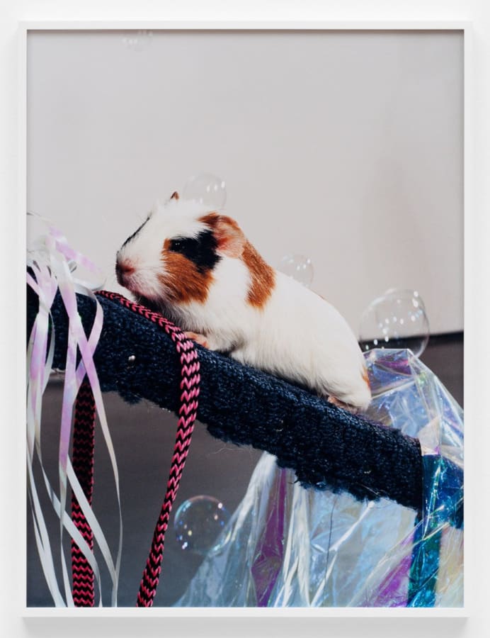 Artwork: Josephine Pryde, Scale XXVII, 2012