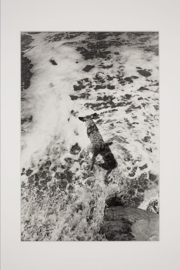 Artwork: Larry Clark, Untitled (TL33), 1970