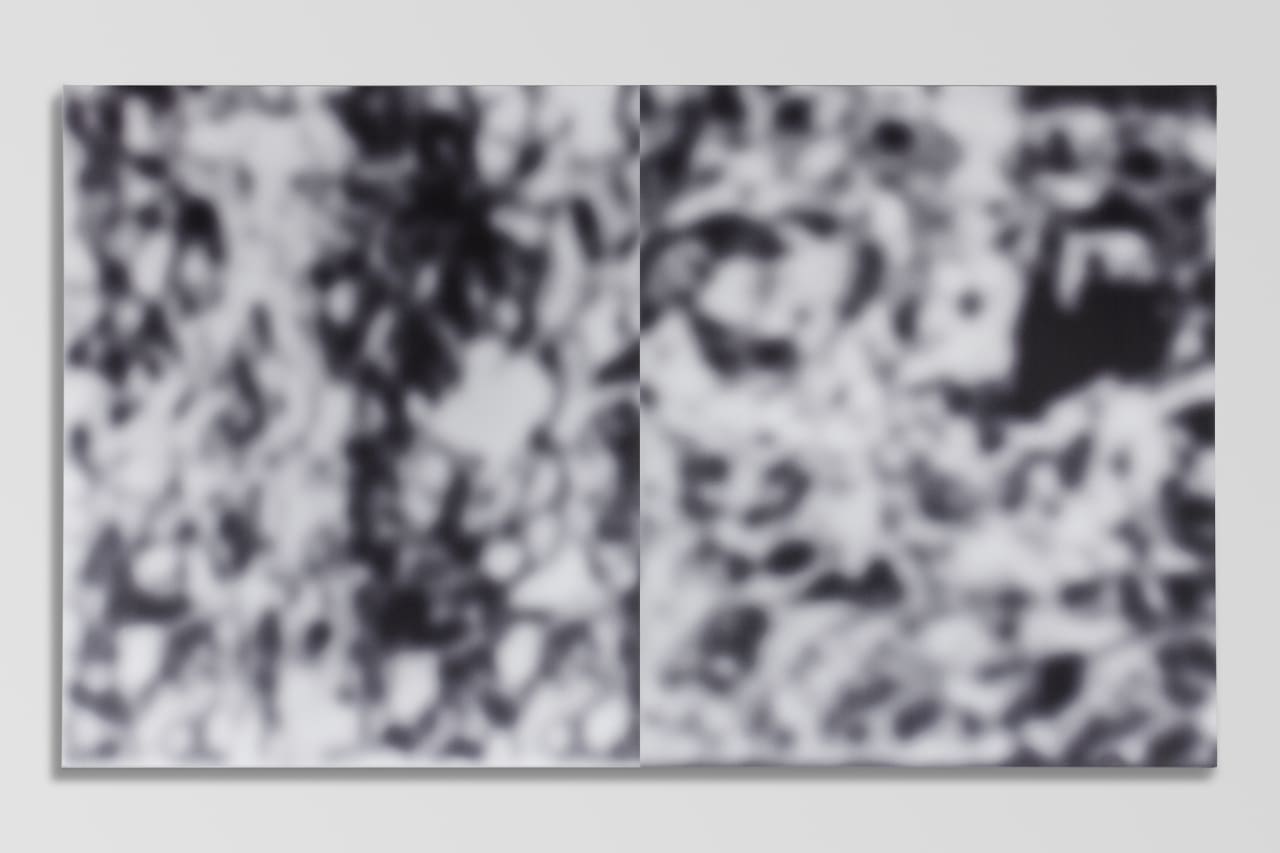 Artwork: Jeff Elrod, Split-Screen Blur, 2016