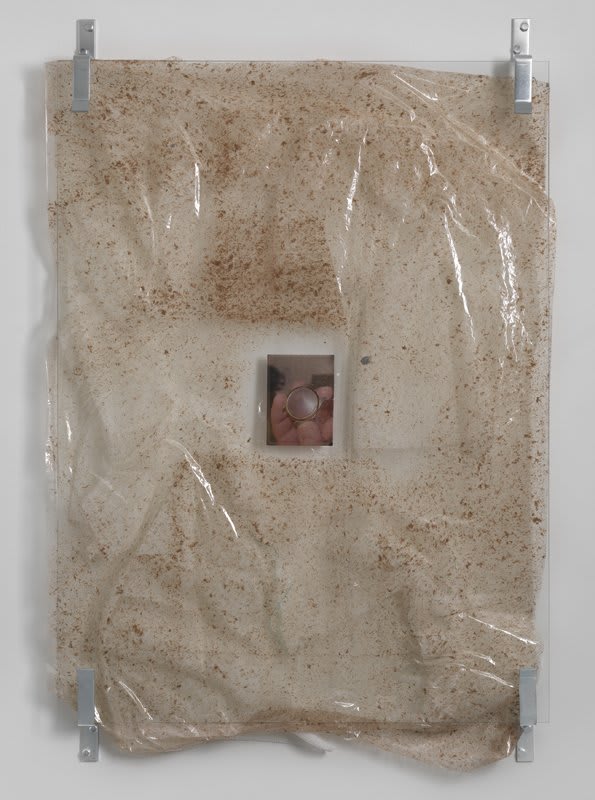 Artwork: Valerie Snobeck, The Occasion, 2013