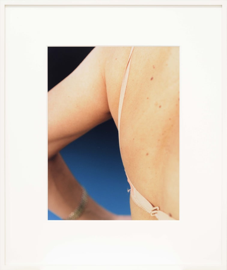 Artwork: Josephine Pryde, Bra I, 2014