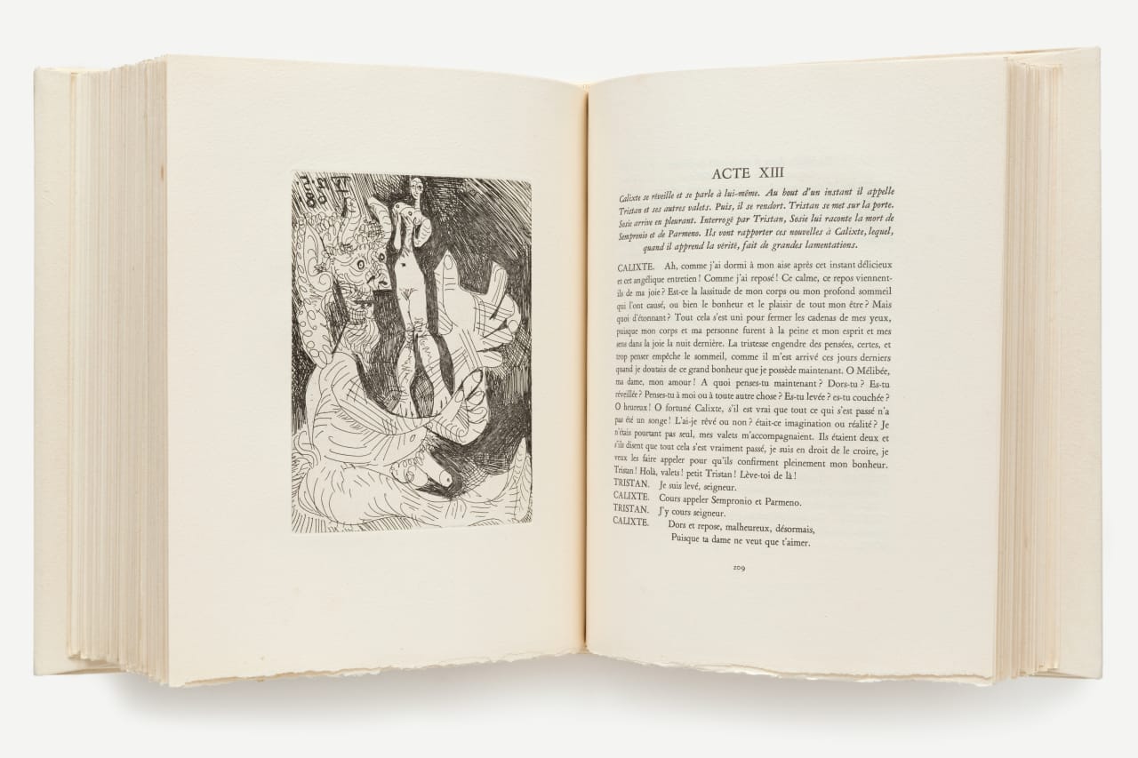 Pablo Picasso, La Célestine, 1971