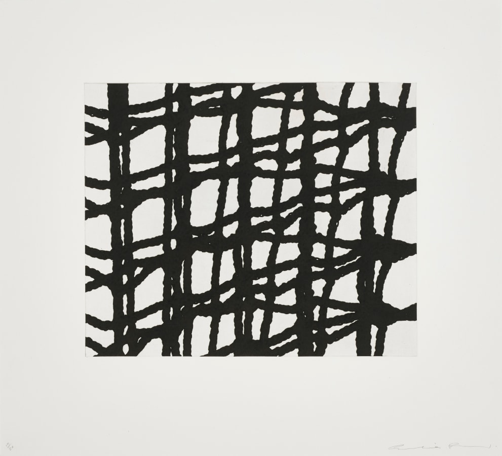 Cornelia Parker, Worry Lines 4, 2008