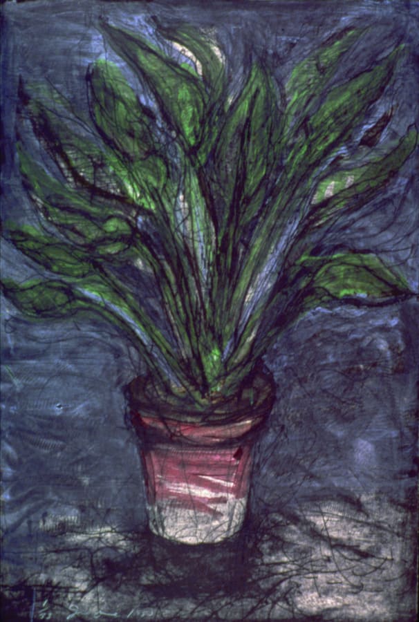 Jim Dine, A well-painted Strelitzia, 1980