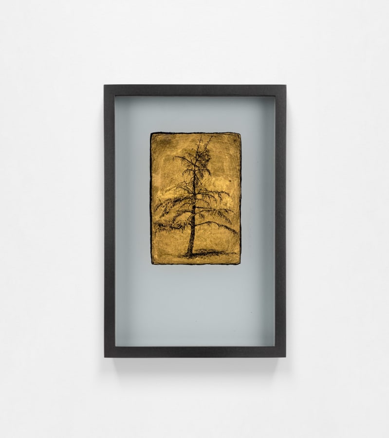 Miriam de Búrca, Sentinel III - Acid Rain, 2024