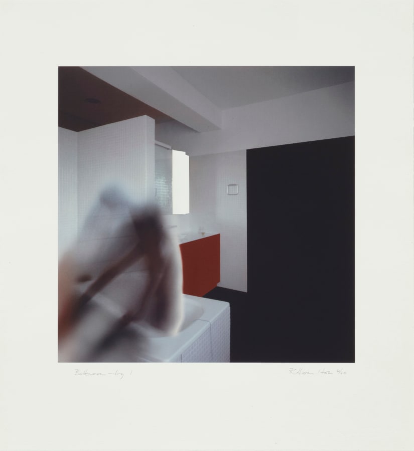 Richard Hamilton, Bathroom - fig.1, 1997