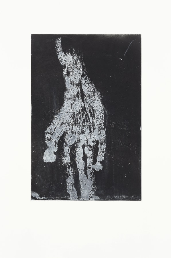Georg Baselitz, Mano IV (white), 2019