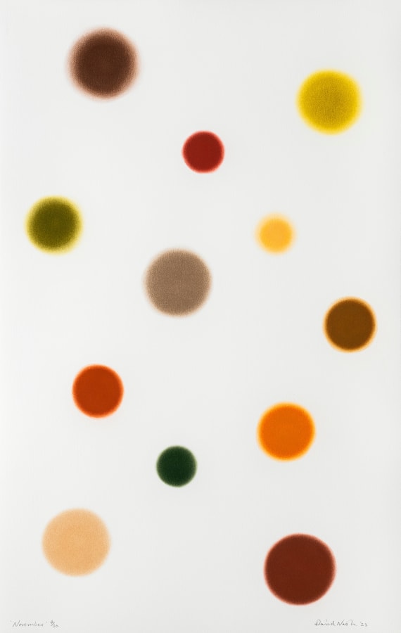 David Nash, November, 2023