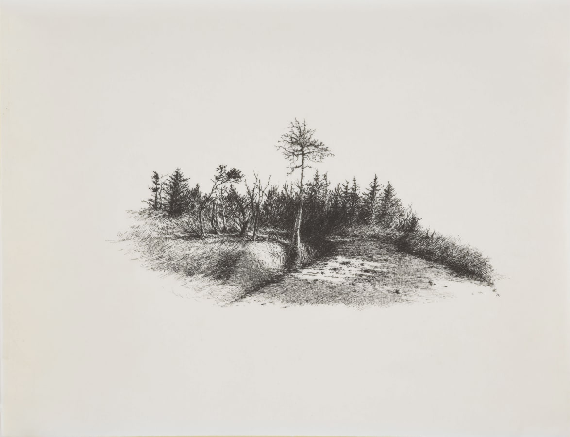 Miriam de Búrca, Dysfunctional Landscape III: Looking in the Wrong Places, 2018