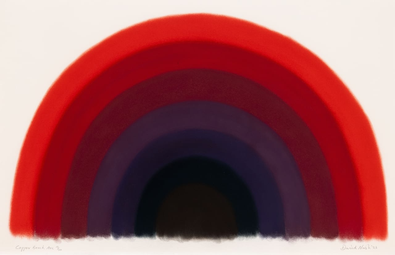 David Nash, Copper Beech Arc, 2023