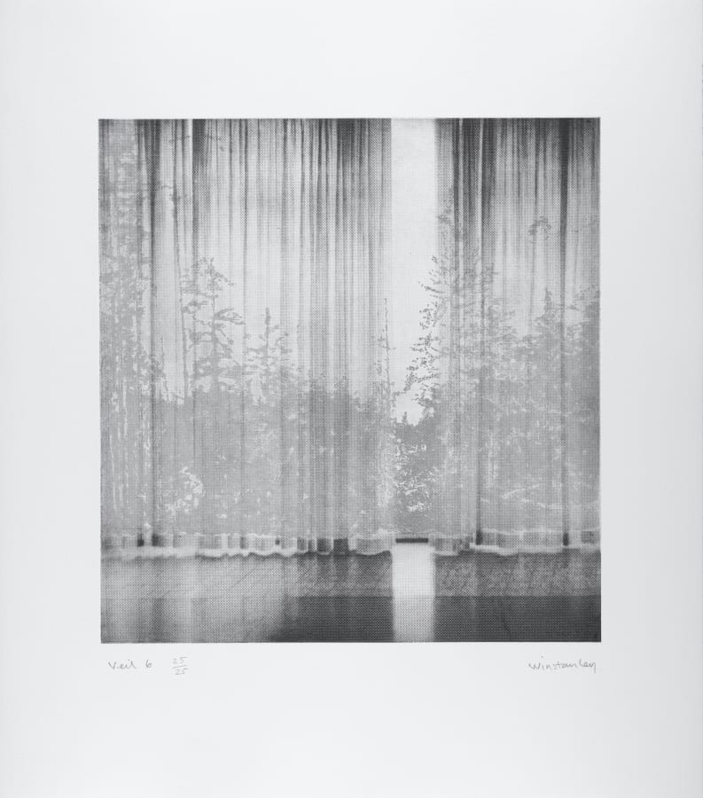 Paul Winstanley, Veil 6, 2008