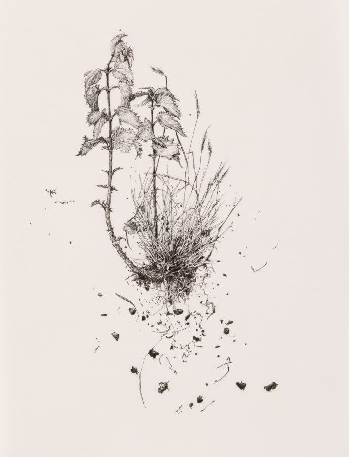 Miriam de Búrca, Site has Been Levelled, 2023