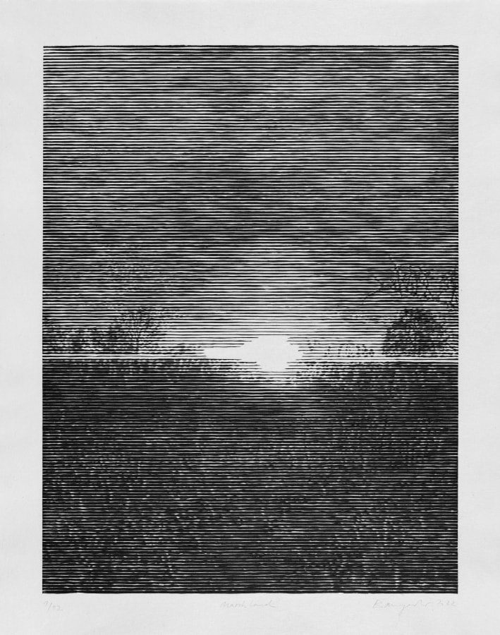 Christiane Baumgartner, Marshland, 2022