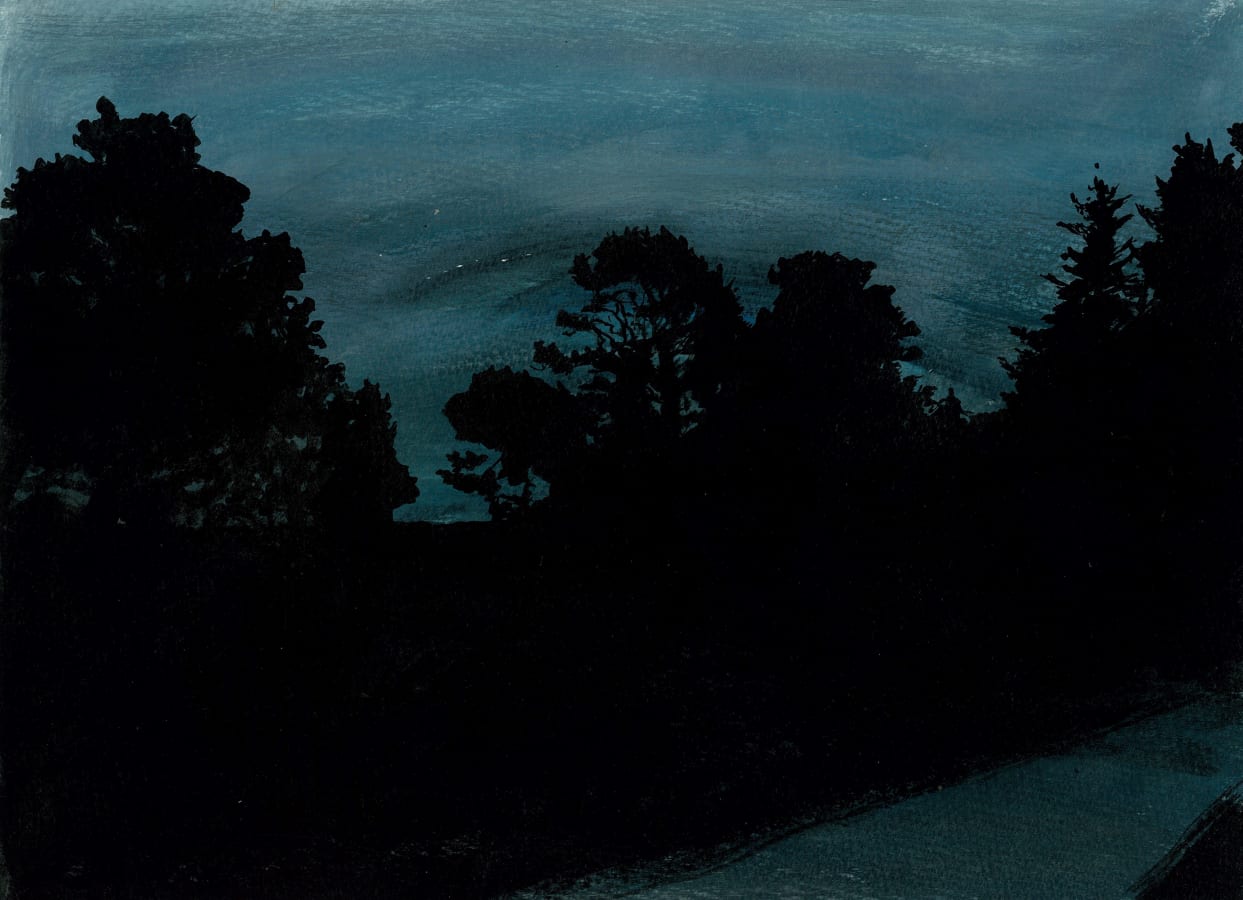 Miriam de Búrca, Getting Used to the Dark, 2018