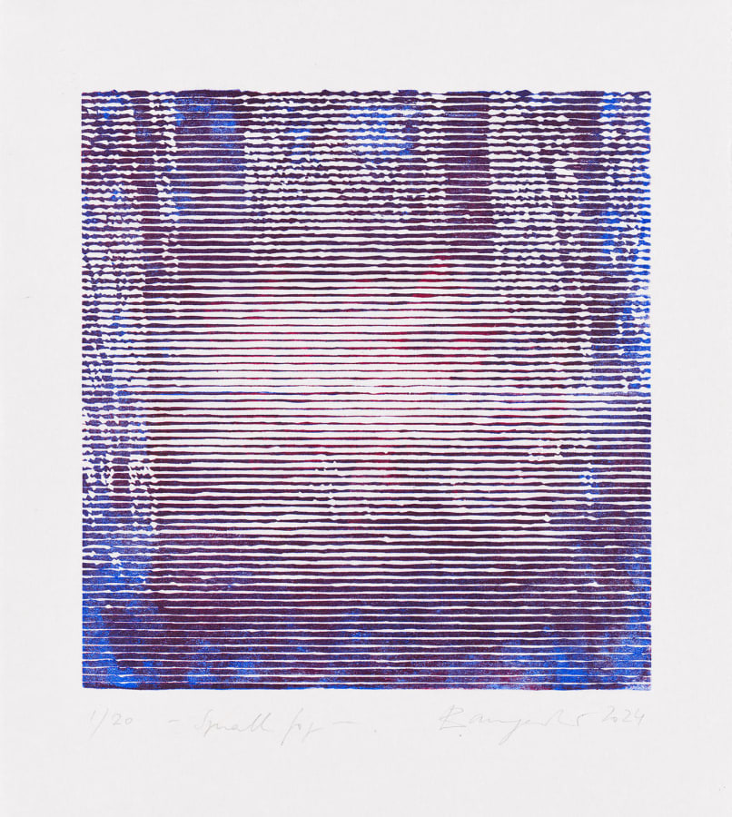 Christiane Baumgartner, Small fog, 2024