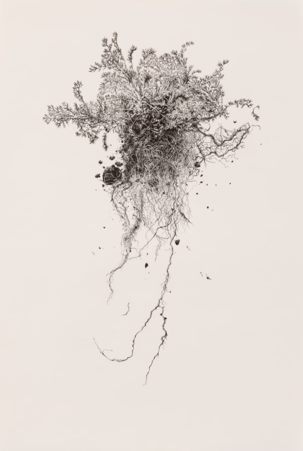 Miriam de Búrca, Bulldozed Away, 2023