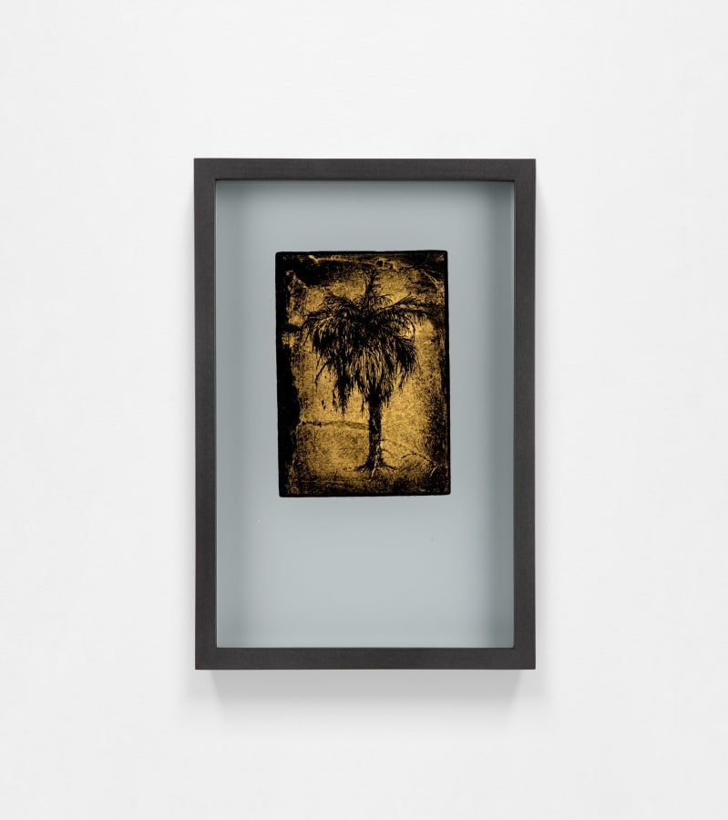 Miriam de Búrca, Sentinel IV - War (ii), 2024