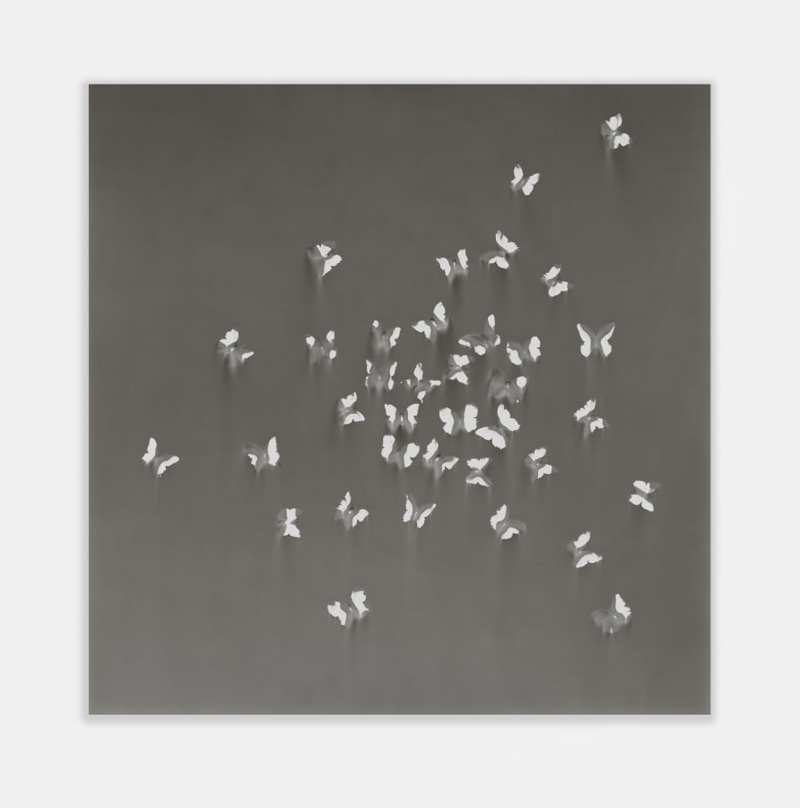 Artwork: Claudio Parmiggiani, Untitled, 2021